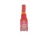 StarTech.com 1ft CAT6 Ethernet Cable, 10 Gigabit Molded RJ45 650MHz 100W PoE Patch Cord, CAT 6 10GbE UTP Network Cable with Strain Relief, Red, Fluke Tested/Wiring is UL Certified/TIA - Category 6 - 24AWG (C6PATCH1RD) - patch cable - 1 ft - red