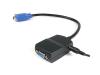 2 Port VGA Video Splitter - USB Powered