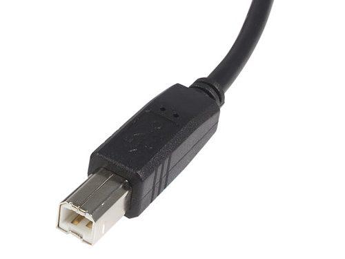 StarTech.com 10 ft USB 2.0 Certified A to B Cable - M/M - 10ft type a to b USB Cable - 10ft a to b USB 2.0 Cable (USB2HAB10) - USB cable - USB to USB Type B - 10 ft
