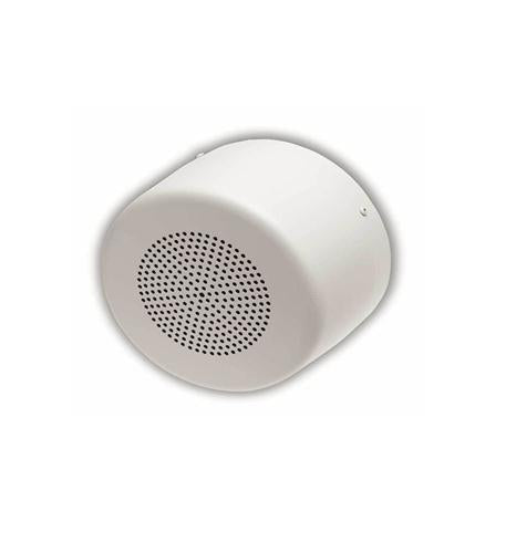 Surface Mount Vandal Resistant Speaker