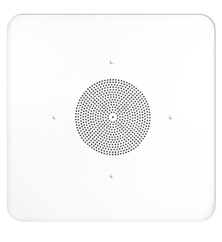 2'x2' G86 Ceiling Tile Speaker