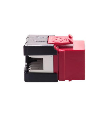 MODULE, CAT6A, HD, RED