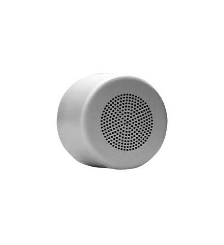 Surface Mount Vandal Resistant Speaker
