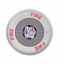 ELUXA,LED HF SPKR STRB,WHT,CEILING, 24VD