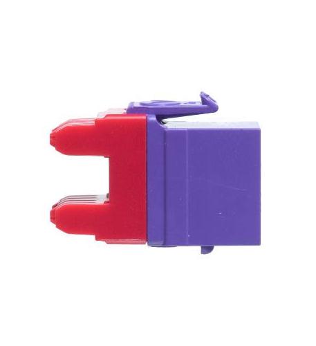 MODULE, CAT 6, HD, PURPLE