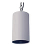 Pendant Speaker - Gray