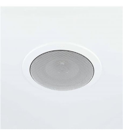 Satellite Ceiling Speaker