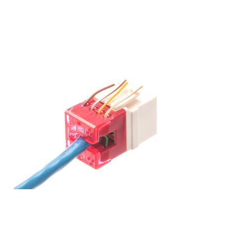 MODULE, CAT 6, HD, ALMOND