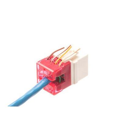 MODULE, CAT 6, HD, ALMOND