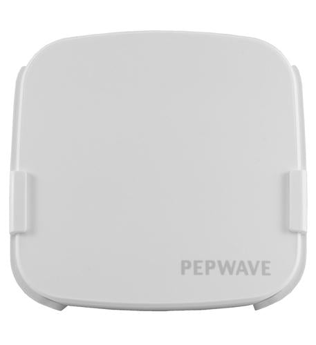Enterprise Dual Band Access Point