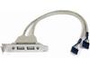 StarTech.com 2 Port USB A Female Low Profile Slot Plate Adapter - 2 Port USB Bracket - USB 2.0 A Female (USBPLATELP) - USB panel - USB to 5 pin in-line