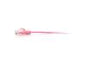 C2G 25FT CAT6A PINK SLIM ETHERNET