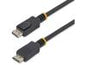 StarTech.com 10 ft DisplayPort 1.2 Cable with Latches - 4K x 2K (4096 x 2160) @ 60Hz - DPCP & HDCP - Male to Male DP Video Monitor Cable (DISPLPORT10L) - DisplayPort cable - 10 ft