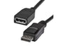6ft DisplayPort Extension Cable M/F