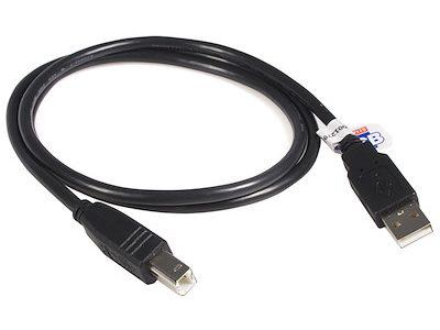 StarTech.com 10 ft USB 2.0 Certified A to B Cable - M/M - 10ft type a to b USB Cable - 10ft a to b USB 2.0 Cable (USB2HAB10) - USB cable - USB to USB Type B - 10 ft