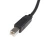 StarTech.com 6 ft. (1.8 m) USB Printer Cable - USB 2.0 A to B - Printer Cable - Black - USB A to B (USB2HAB6) - USB cable - USB to USB Type B - 6 ft