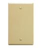 Flush Wall Plate Blank IVORY