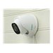 Reolink D1200 - network surveillance camera - turret