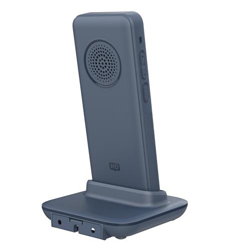 Ruggedized WiFi IP Phone, 2.8 in, BT