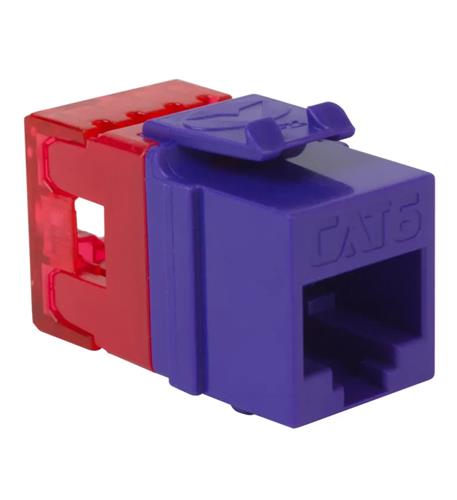 MODULE, CAT 6, HD, 25PK, PURPLE