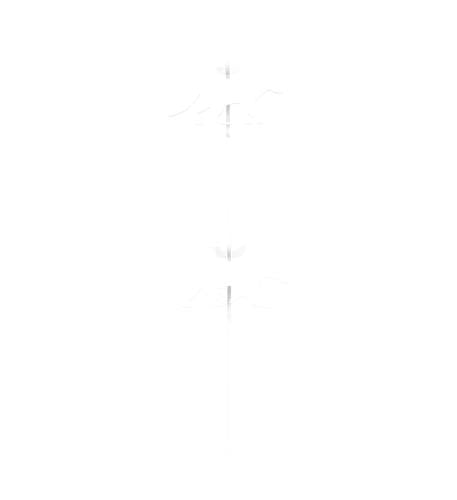 22 Rimfire AR500 1/4" Animal Target Set