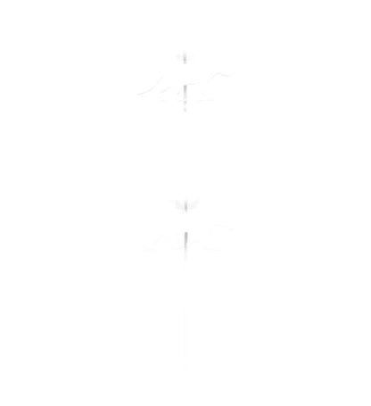 22 Rimfire AR500 1/4" Animal Target Set