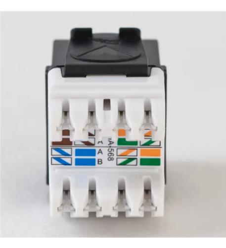 MODULE, CAT6A, HD, 25PK, BLACK