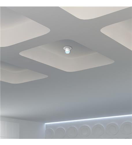 UNIFI FLEX HD AP