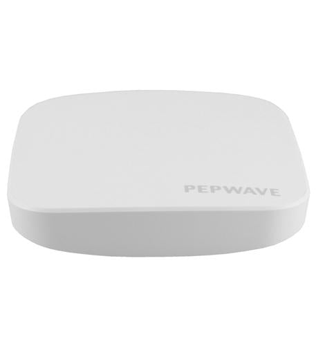 Enterprise Dual Band Access Point
